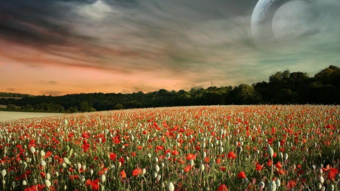 为什么有些NAS用户弄那么多硬盘?